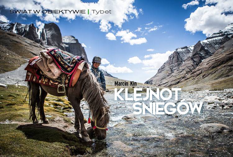 Losowy darmowy artykuł